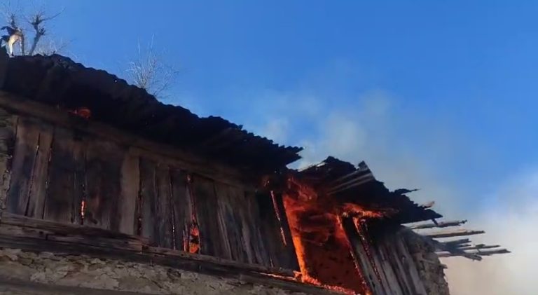 चकराता में दर्दनाक हादसा: आग से दो मंज़िला छानी जलकर राख, छह बकरियों की मौत