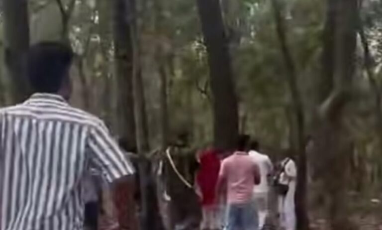 पेड़ों के कटान पर फिलहाल रोक, सहमति बनने तक नहीं होगी कार्रवाई: धामी